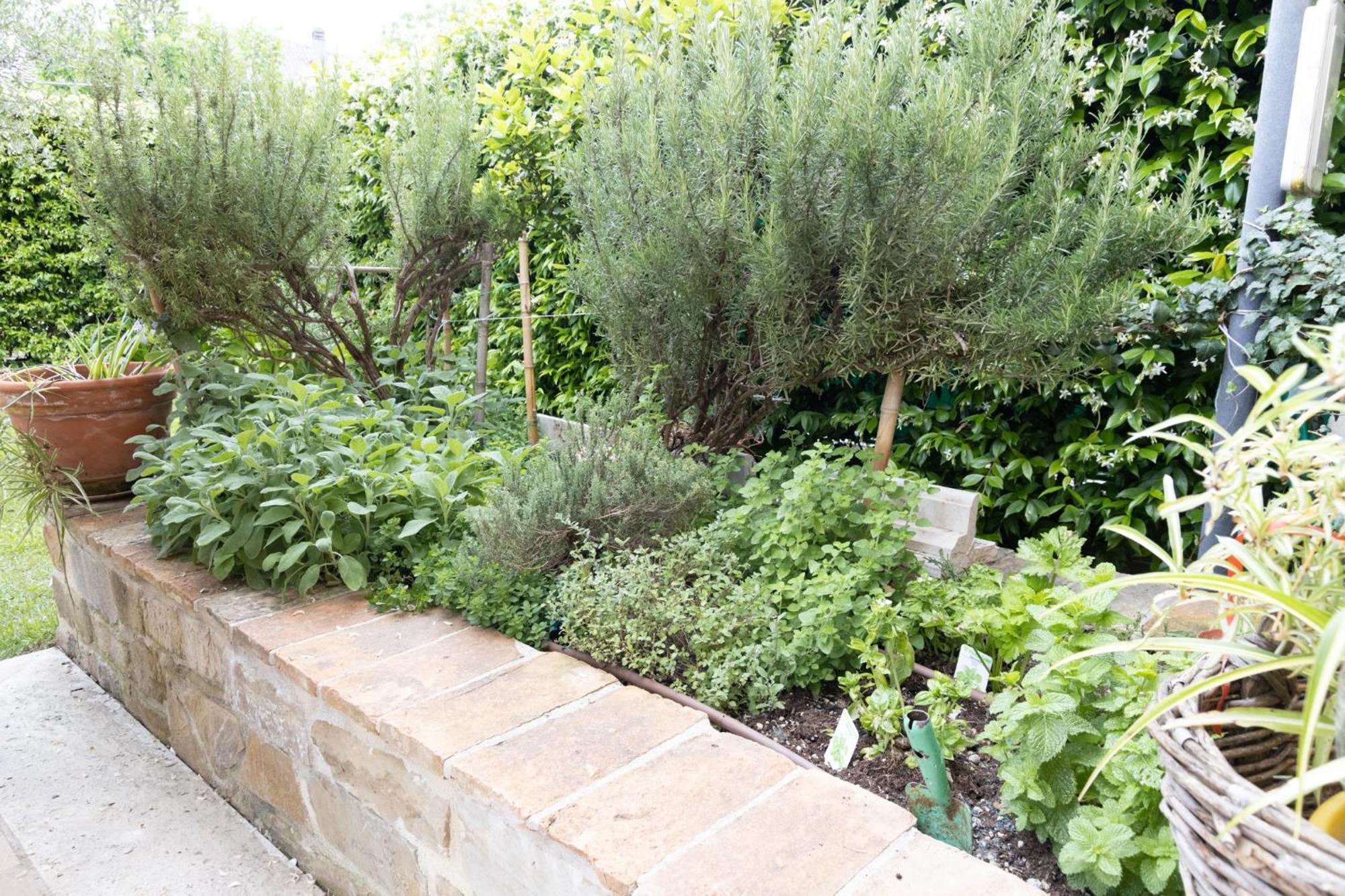 Bed and Breakfast Dimora Fontemaggio Cossignano Exterior foto
