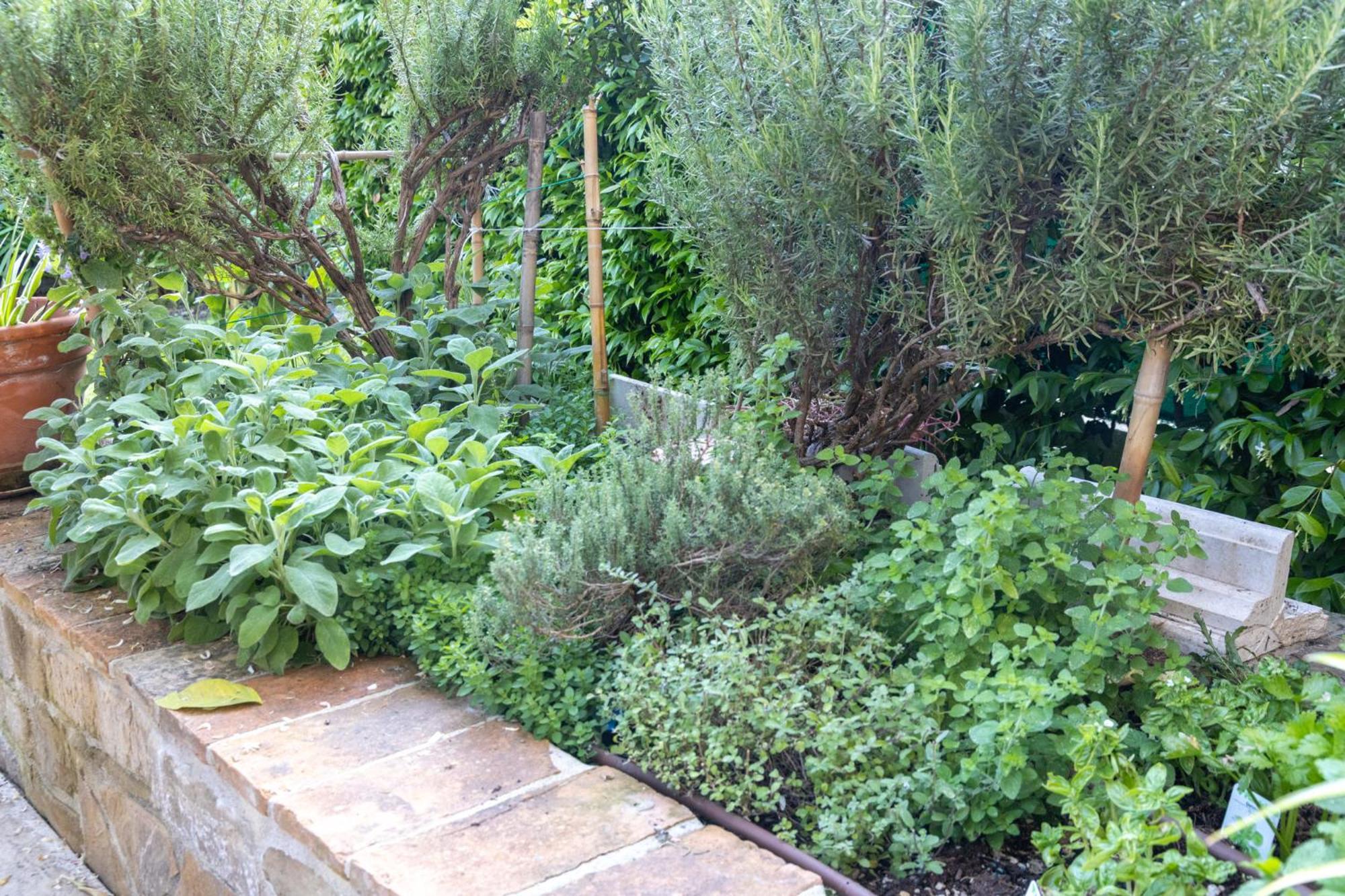 Bed and Breakfast Dimora Fontemaggio Cossignano Exterior foto